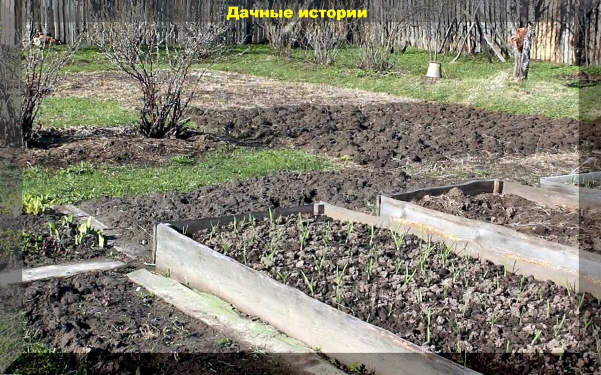 https://vk.com/photo-159774511_457252179