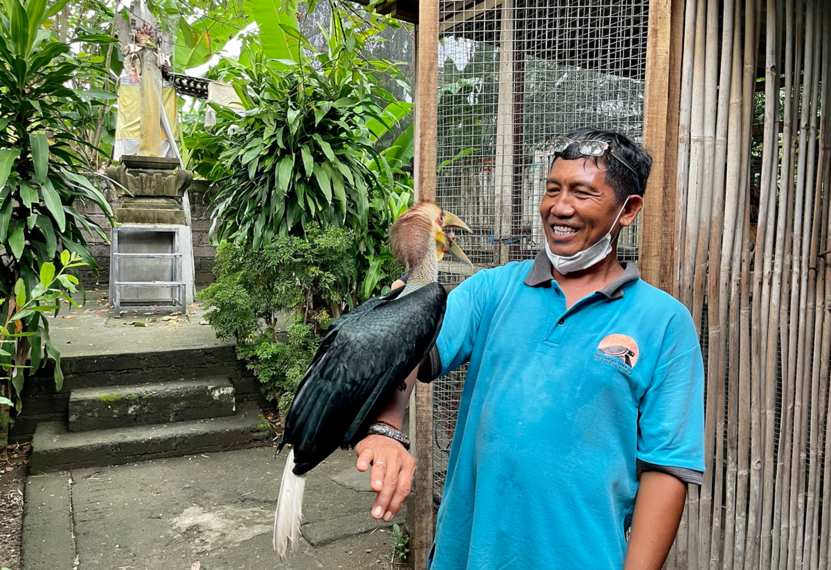 Типичный балиец — хозяин мини-зоопарка и черепашьей фермы