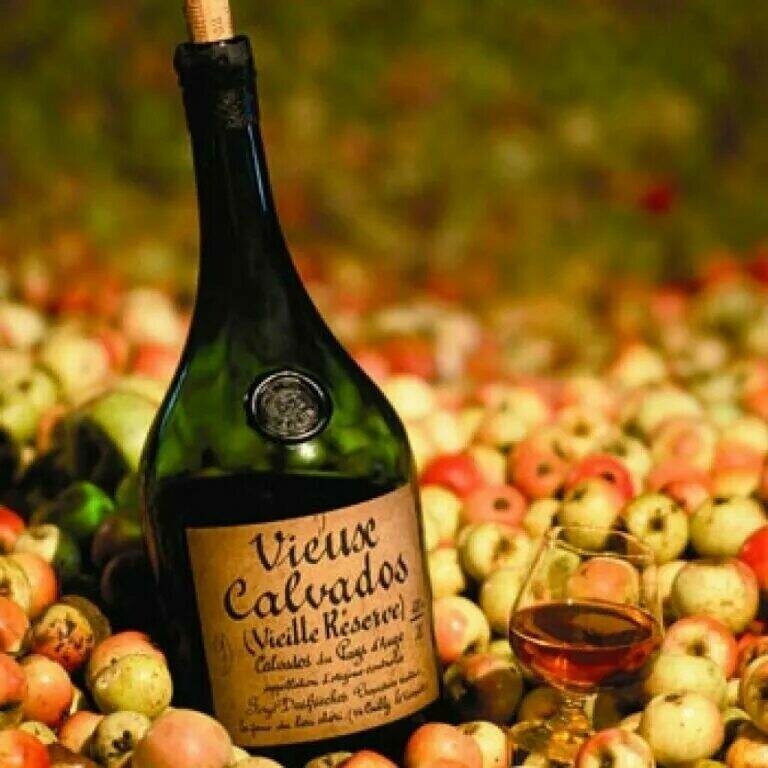 изображение из интернета