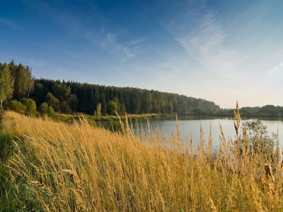 Река в Смоленской области. Фото: krasivye-mesta.ru/smolenskaya-oblast