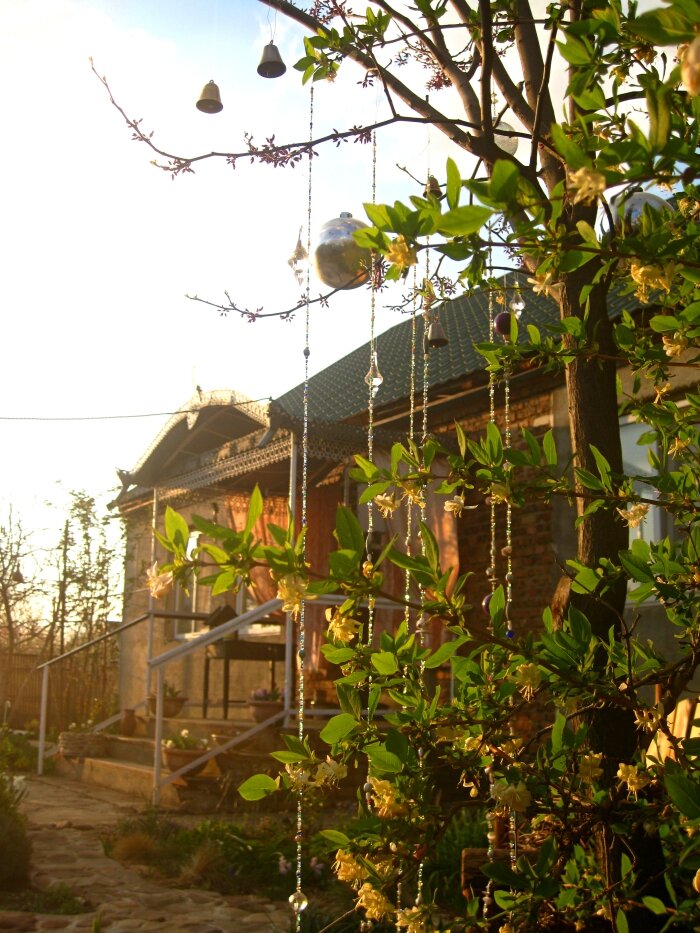 Ветер разбил висевшие на церцисе стекляные шары: из 5 остался лишь 1. И 2 пластиковых, зеркальных. "Музыку ветра" запутал до такой степени, что ее только разобрать и повесить все подвески по отдельности. Никакие композиции, никакие, вазы и кувшины в наших условиях не выживают. Если они только они не из бетона.