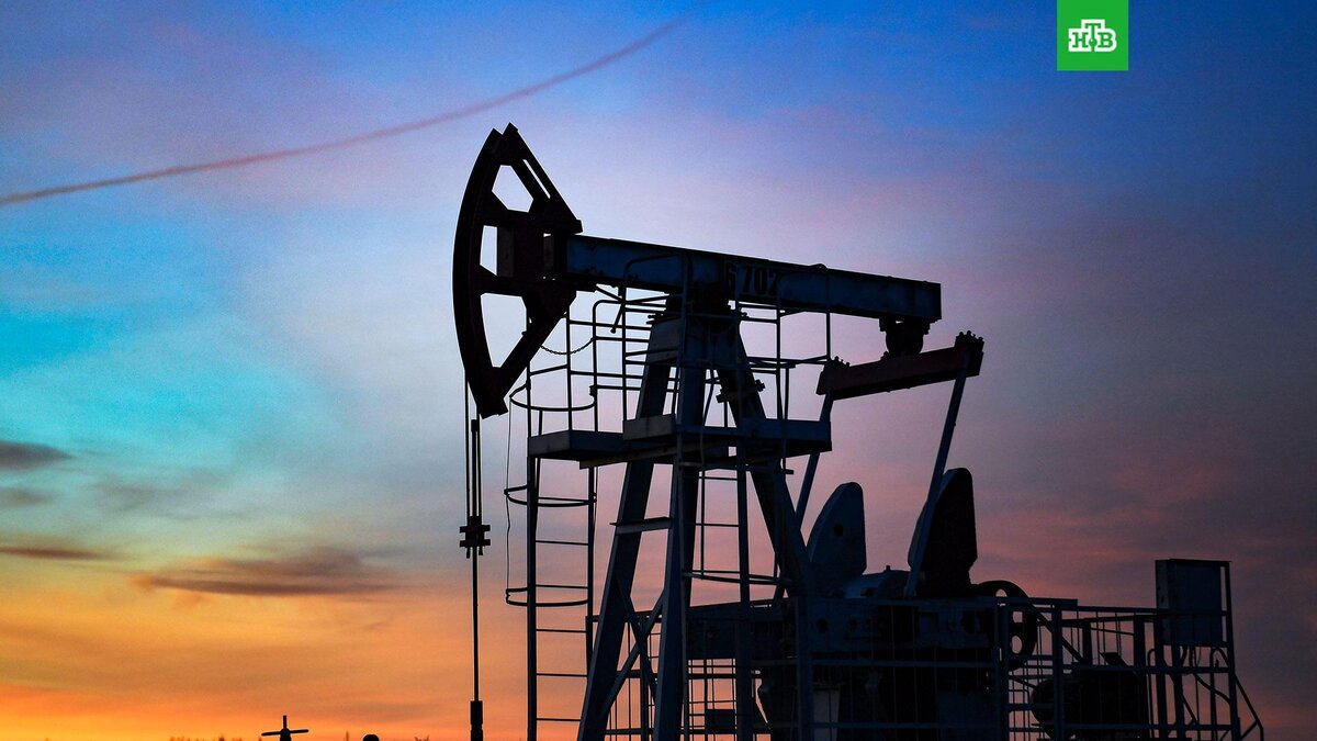    Фото: РИА Новости © 2022, Максим Богодвид