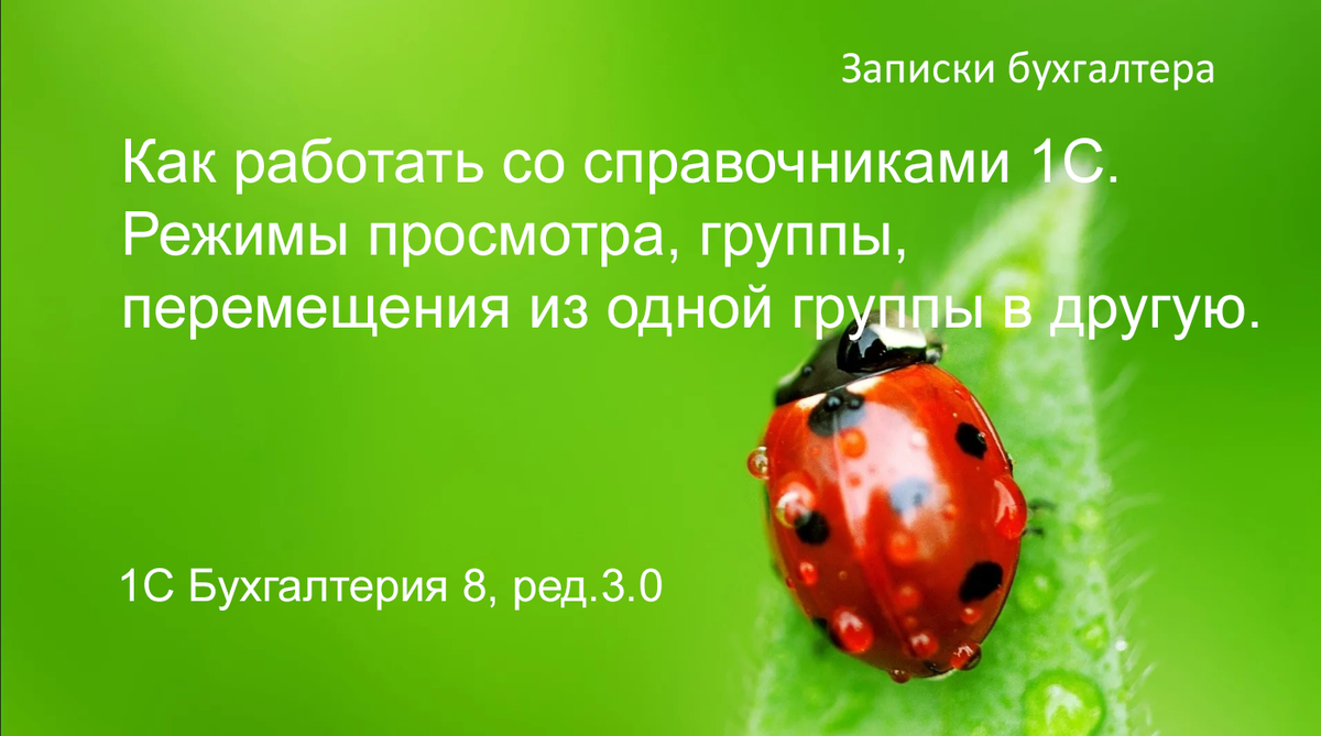 Как работать со справочниками 1С. Режимы просмотра, группы, перемещения из  одной группы в другую. | Записки Бухгалтера | Дзен