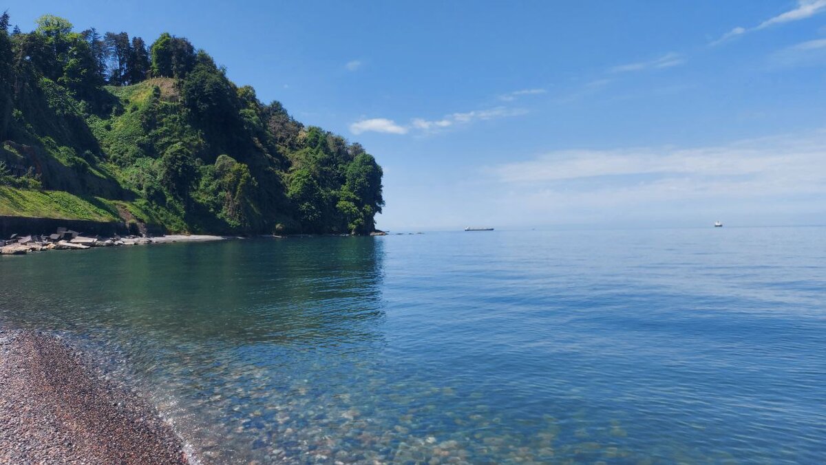 Здесь буйство зелени круглый год, но сейчас краски особенно яркие