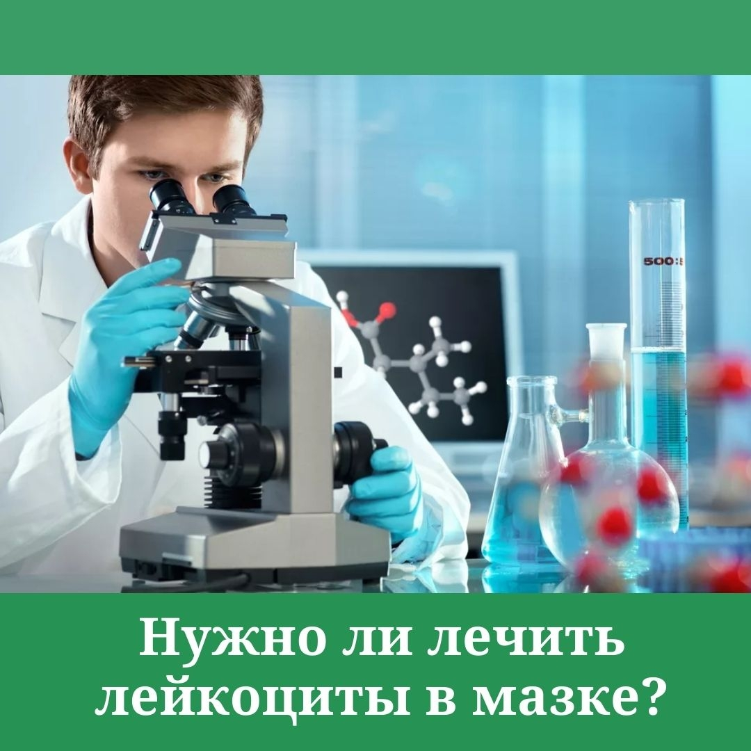 Лейкоциты в мазке. Что это значит? - Клиника ЦМЭИ