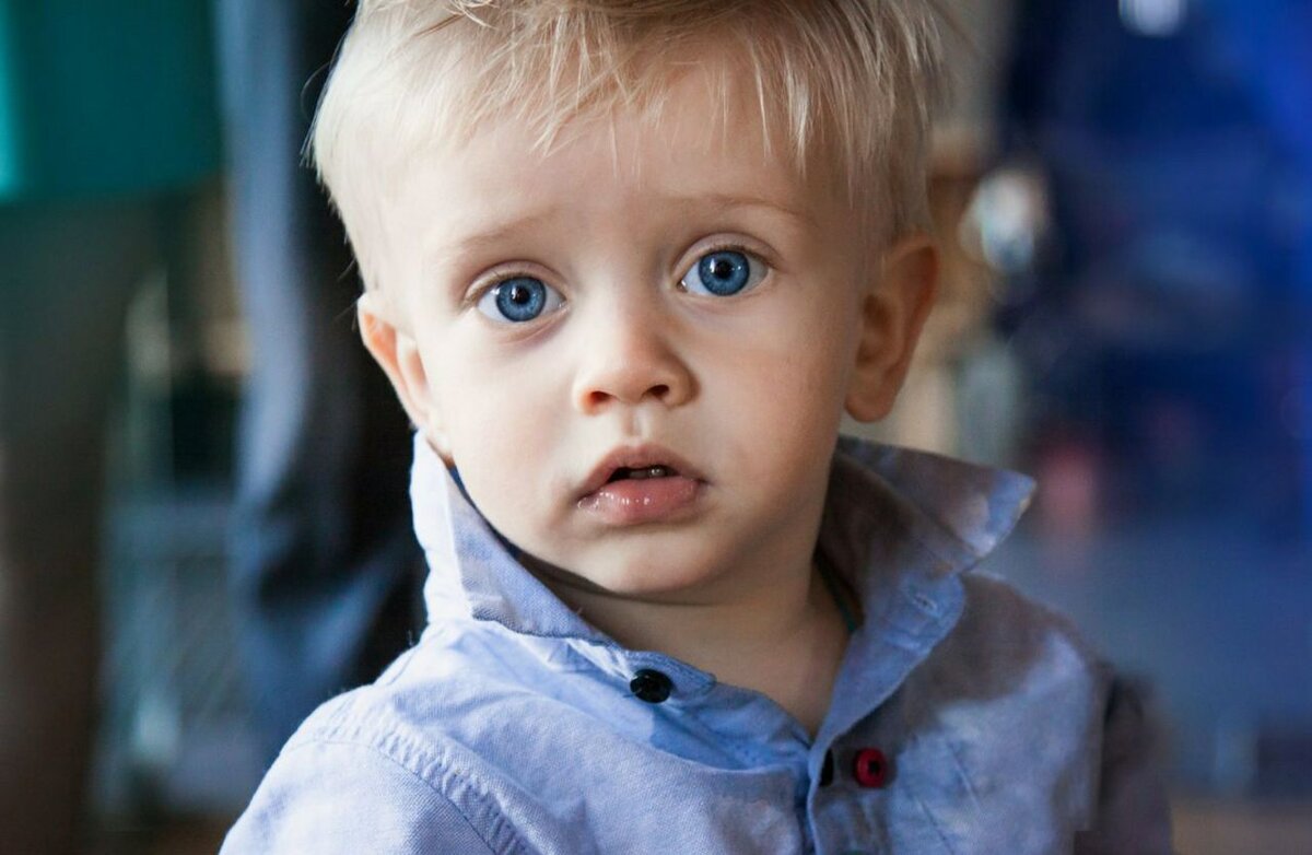 У темноволосых родителей родился светловолосый ребенок. Мальчик с голубыми глазами. Мальчик блондин с голубыми глазами. Светловолосый голубоглазый мальчик. Дети блондины с голубыми глазами.