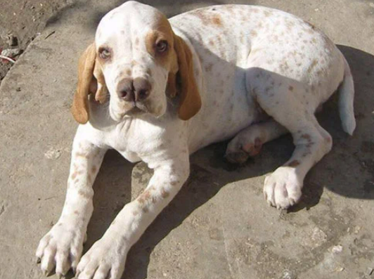 Фотография взята из источника flytothesky.ru 