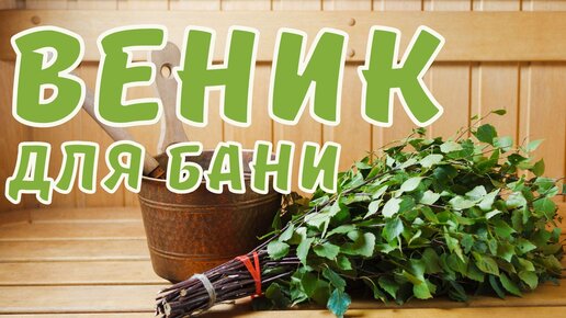 Заготовка ВЕНИКА для бани | Как правильно изготавливать БАННЫЕ ВЕНИКИ