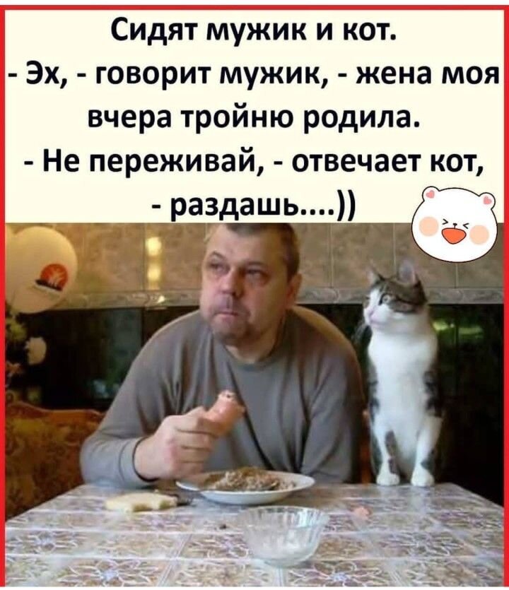 Про кота разговаривающего. Жена тройню родила не переживай раздашь. Не переживай раздашь кот. Сидят мужик и кот. Кот говорит не переживай раздашь.