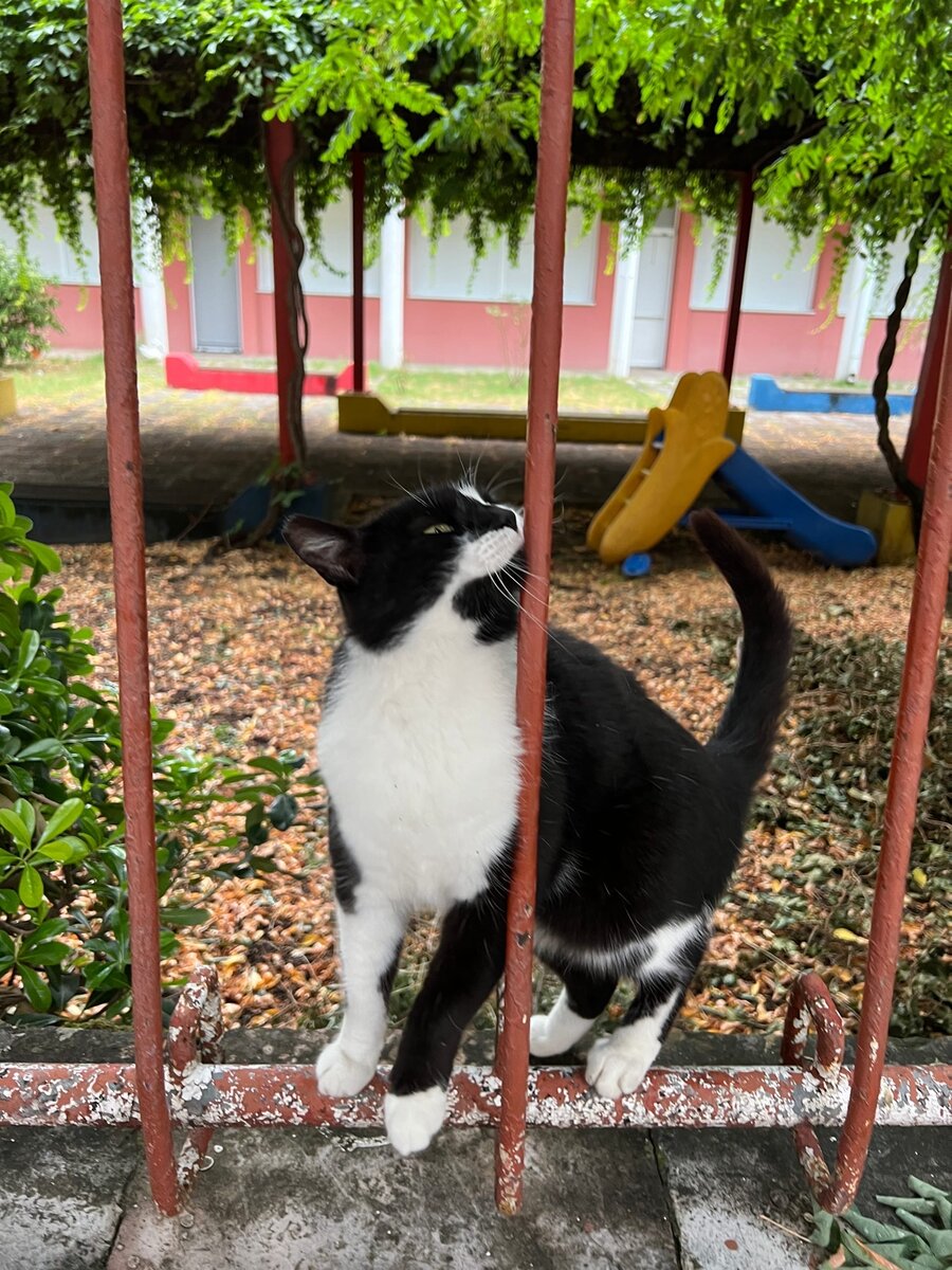 Кто-то ласкался...