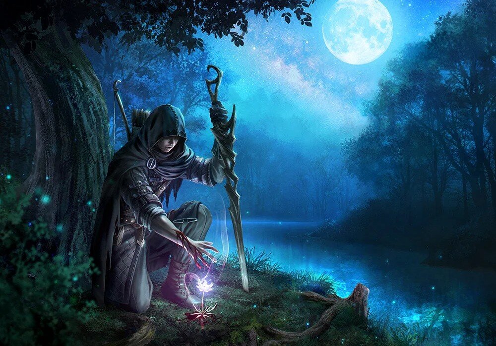 фото из свободного источника