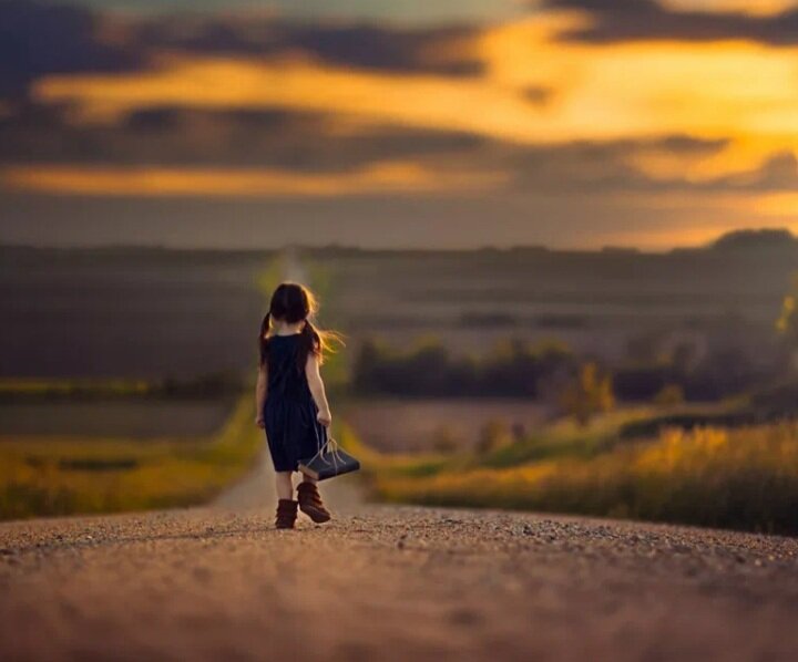 Яндекс. Картинки