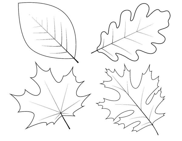 Как нарисовать (рисовать) осень и осенние пейзажи - поэтапные рисунки и видеоуроки