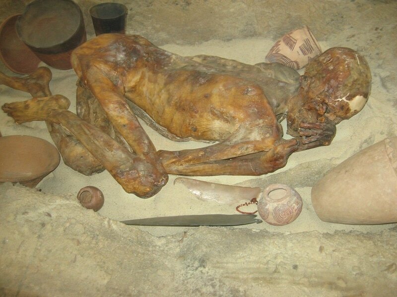 В Египте обнаружили мумии с золотыми языками: фото — Сноб