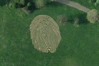 Гигантский отпечаток пальца.