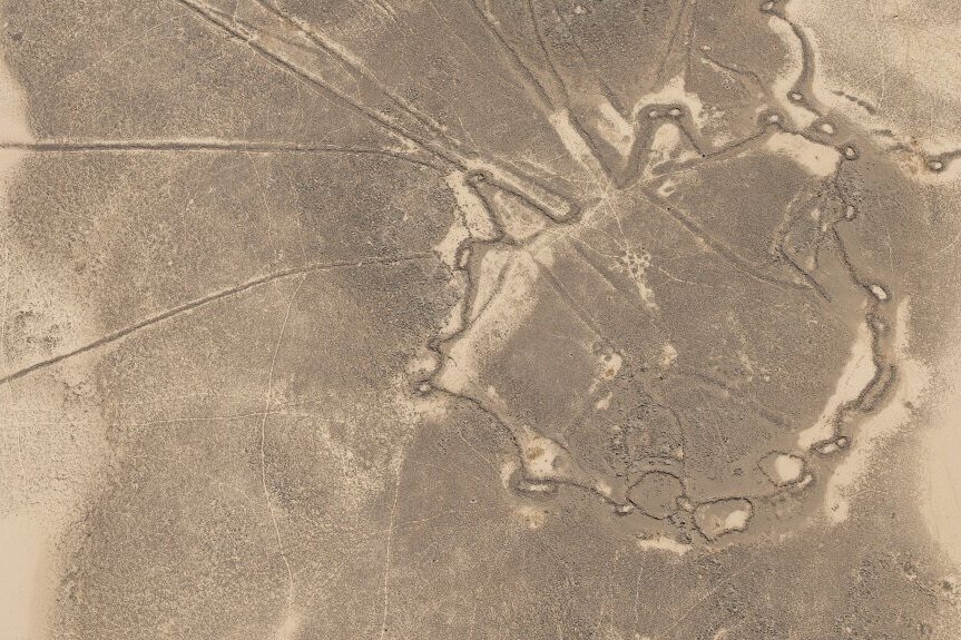     Археологи Оксфордского университета описали огромные сооружения для охоты в древней Аравии. Их построили 10000 лет назад