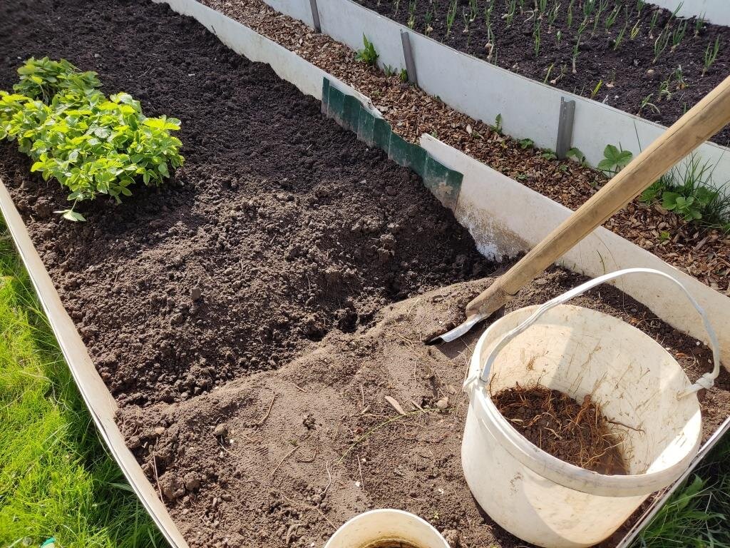 Нам потребуется высокая грядка с бортиками.