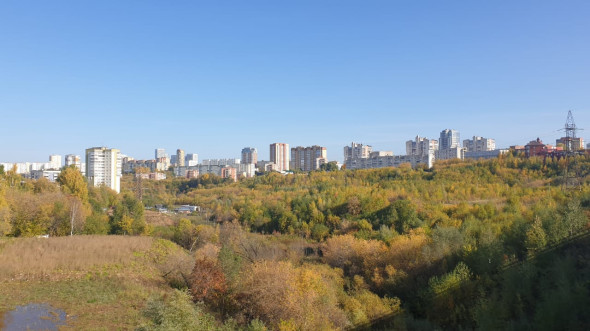 Фото: РБК Пермь