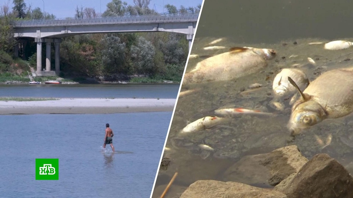    В Европе заговорили о катастрофе    из-за    засухи и обмелевших рек