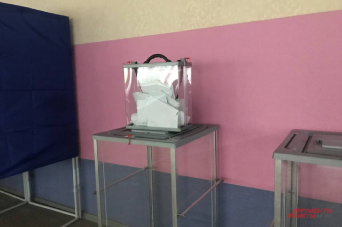   Путь домой. Во Владимирской области проходят судьбоносные референдумы