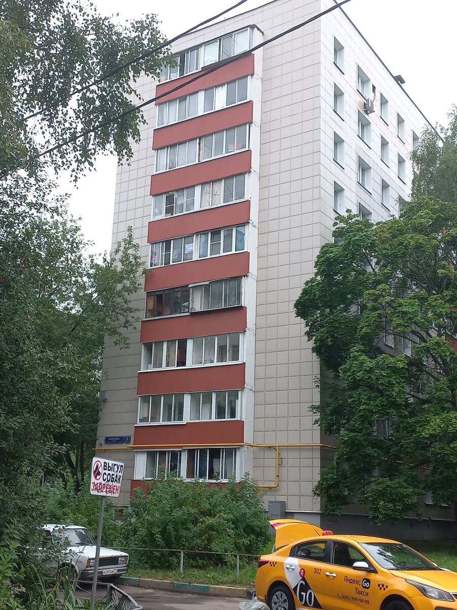 Фото: Дмитрий Степанов 