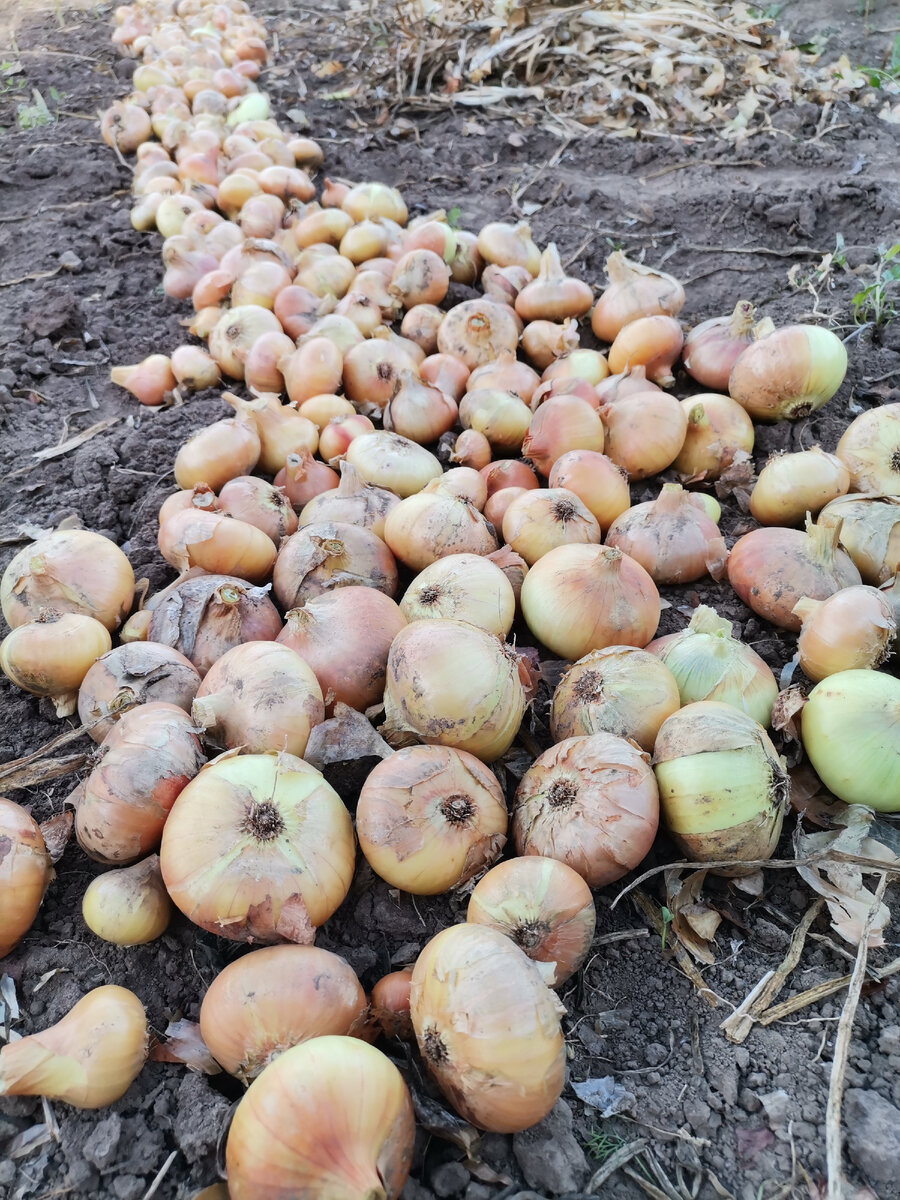 Фото автора «Уголок моей души»