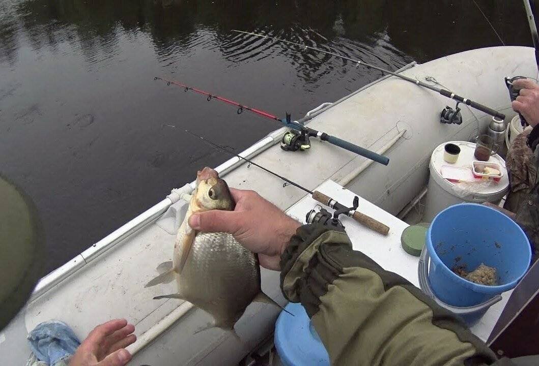 На что ловить видео