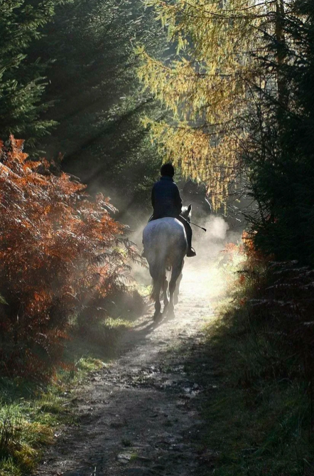 фото яндекс