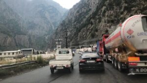    Фото: nor.ge. Татьяна Дворянчикова