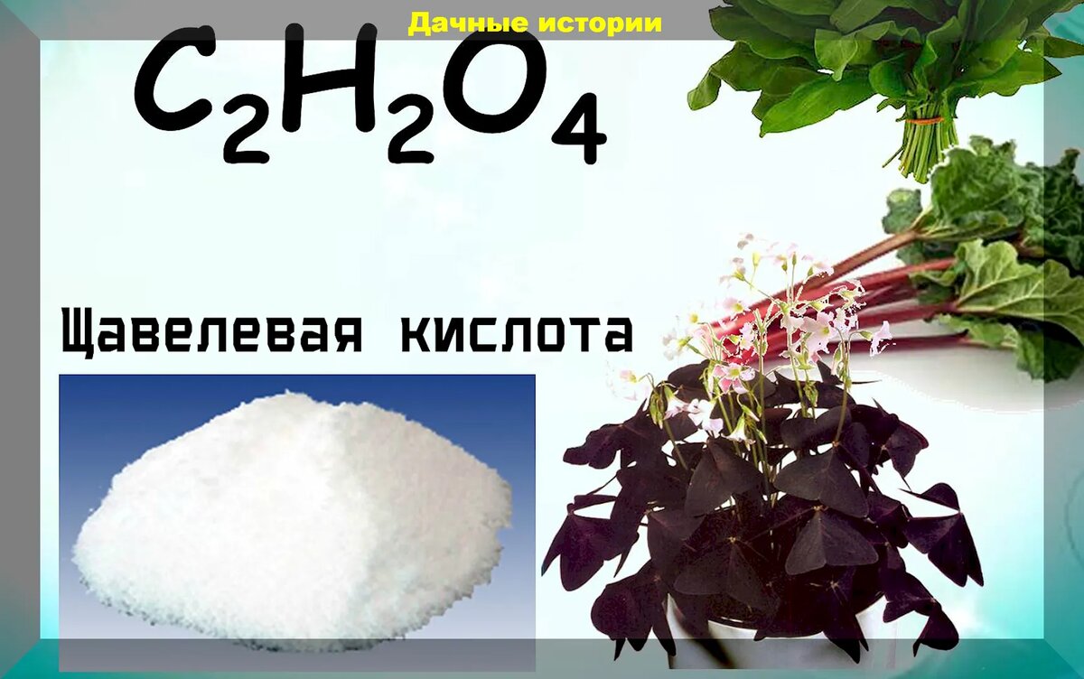 5 раствор щавелевой кислоты. Щавелевая кислота cahco32. H2o2 щавелевая кислота. Щавелевая кислота формула. Щавелевая кислота h2o.