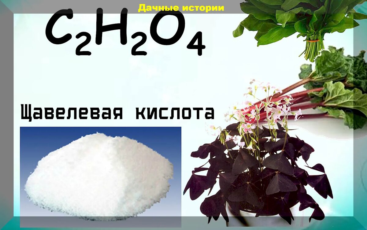 Сколько граммов щавелевой кислоты. Щавелевая кислота cahco32. H2o2 щавелевая кислота. Щавелевая кислота формула. Щавелевая кислота h2o.