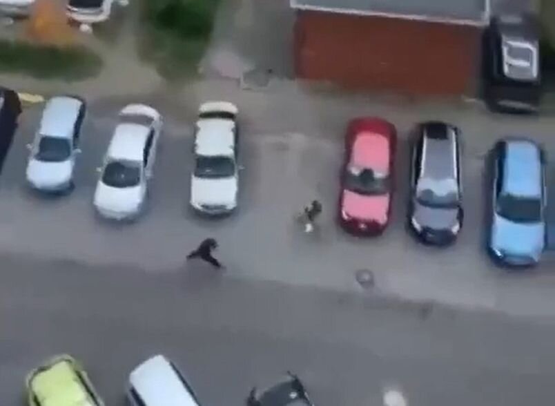 убежал от полиции видео