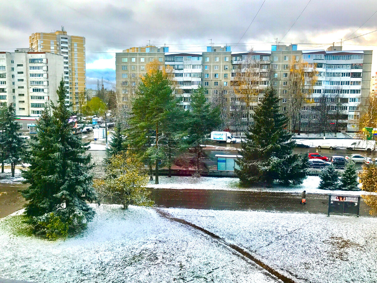 Владимир, 31.10.2022