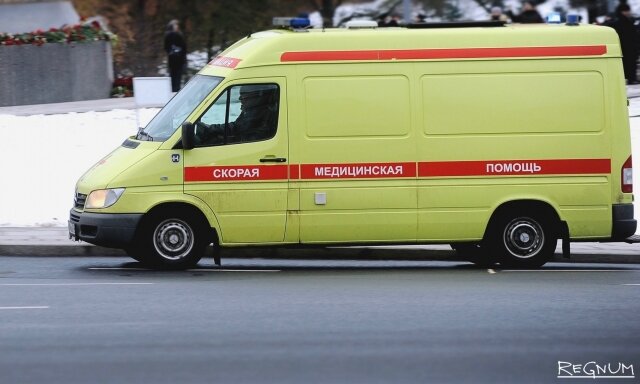    Скорая помощь Дарья Антонова © ИА REGNUM