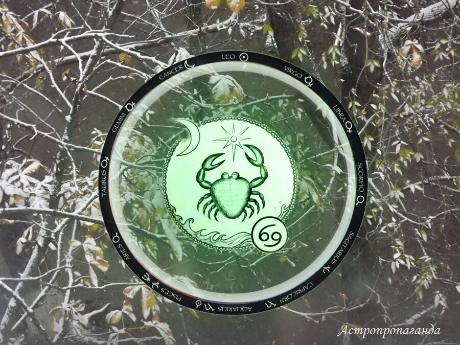 Коллаж Нины Стрелковой. 