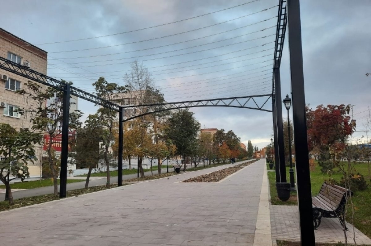    В Волгограде над бульваром проспекта Жукова засияет «звездное небо»