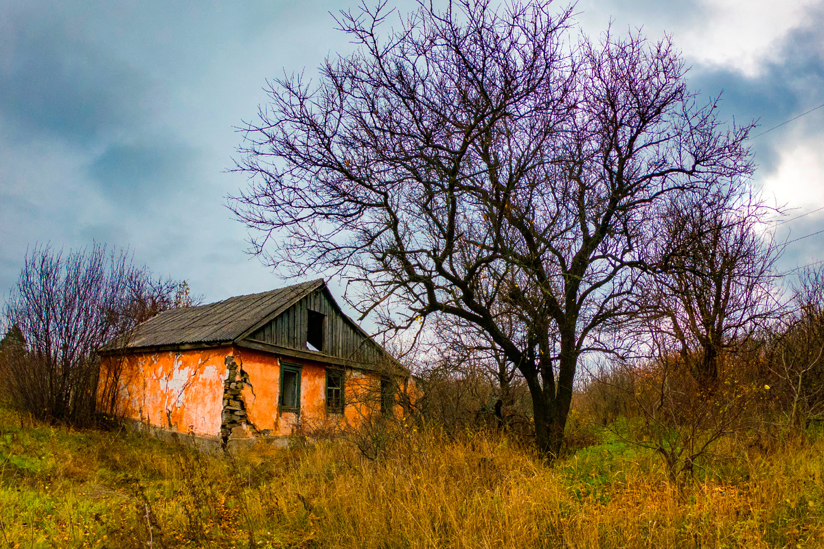 Фото автора