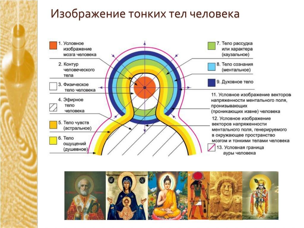 Схема тонких тел человека