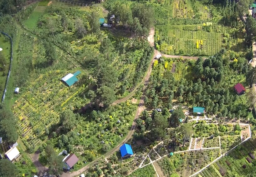 Вид с высоты птичьего полета на старую часть нашего питомника, где как раз и находится большая часть коллекции