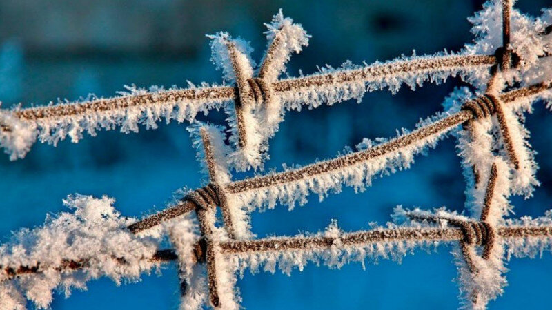     Морозы в Барнауле Михаил Хаустов