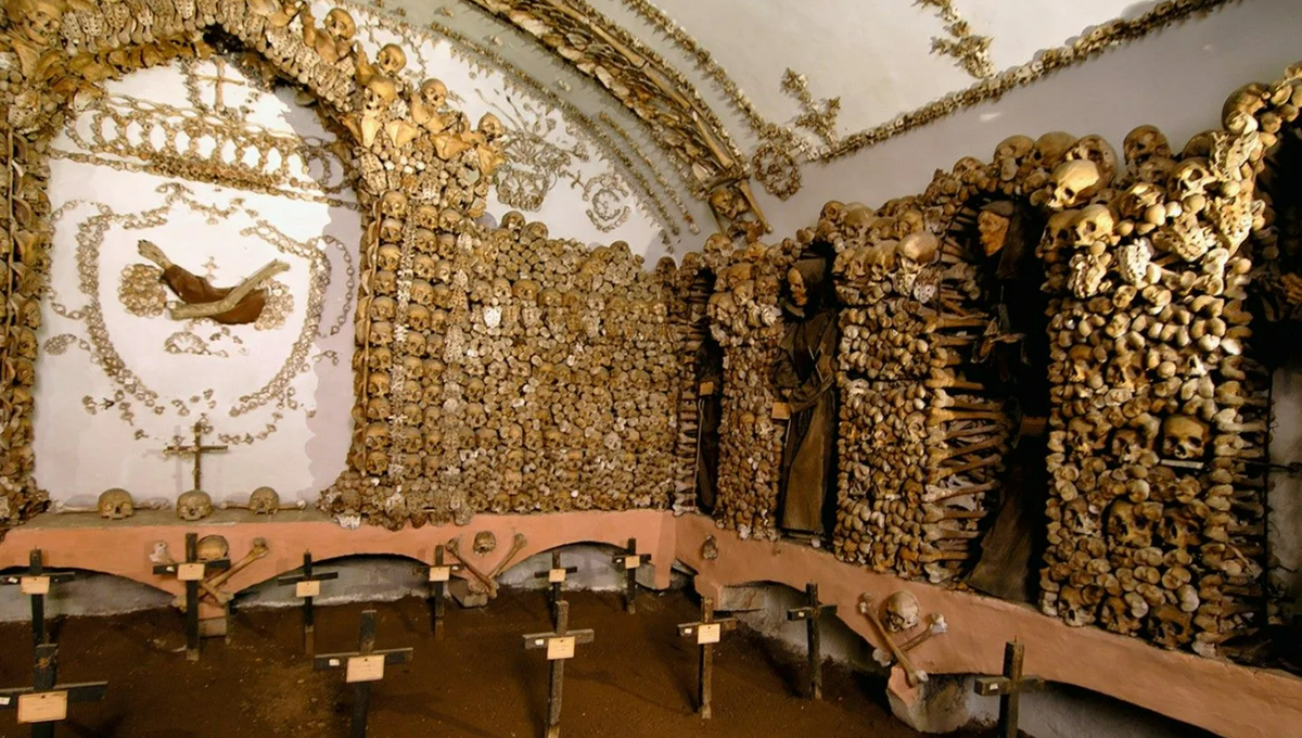 Кости в катакомбах парижа. Город на костях. Город построенный на костях. Кладбище в катакомбы в париже. Катакомбы парижа (catacombs of paris), франция.