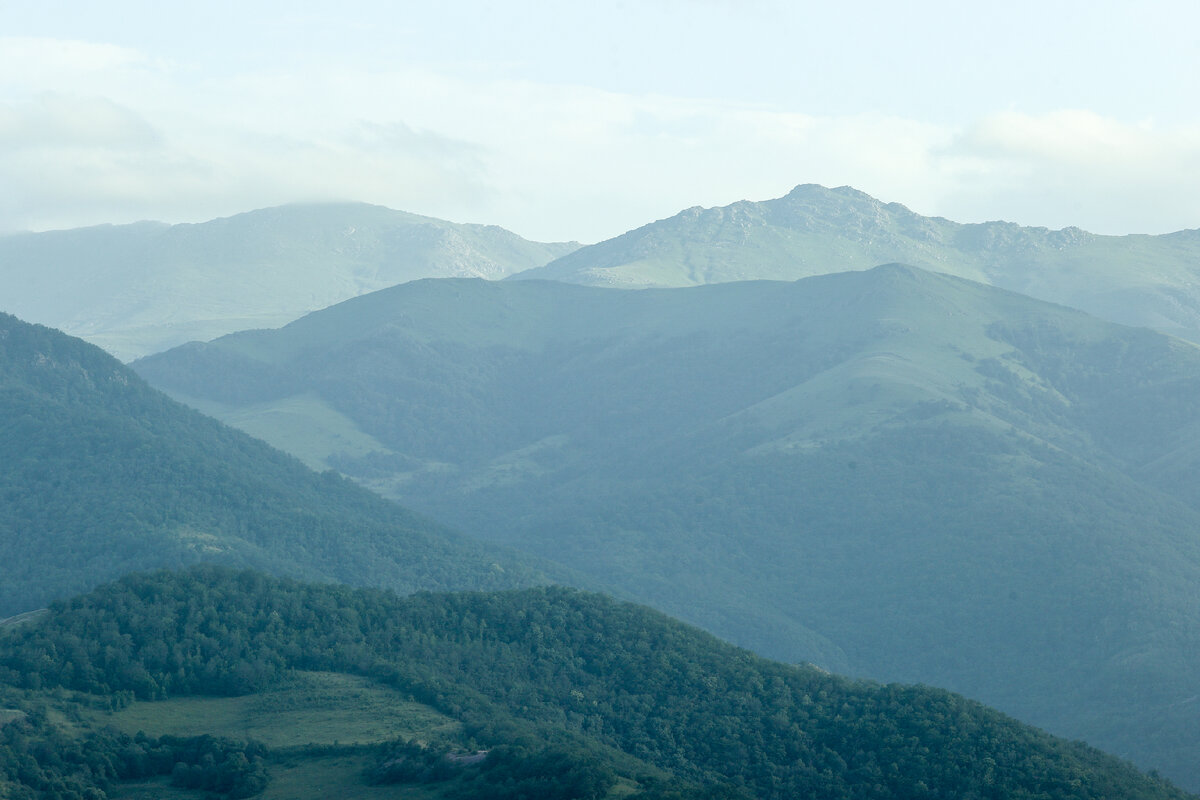 Фото: Bulkin Sergey/news.ru/Globallookpress 