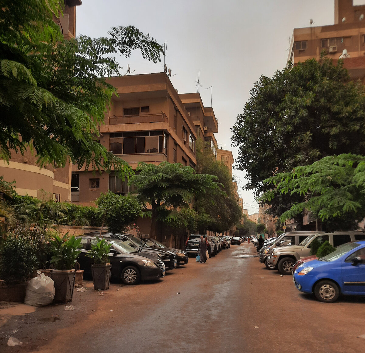 Наша улица в Каире, Египет