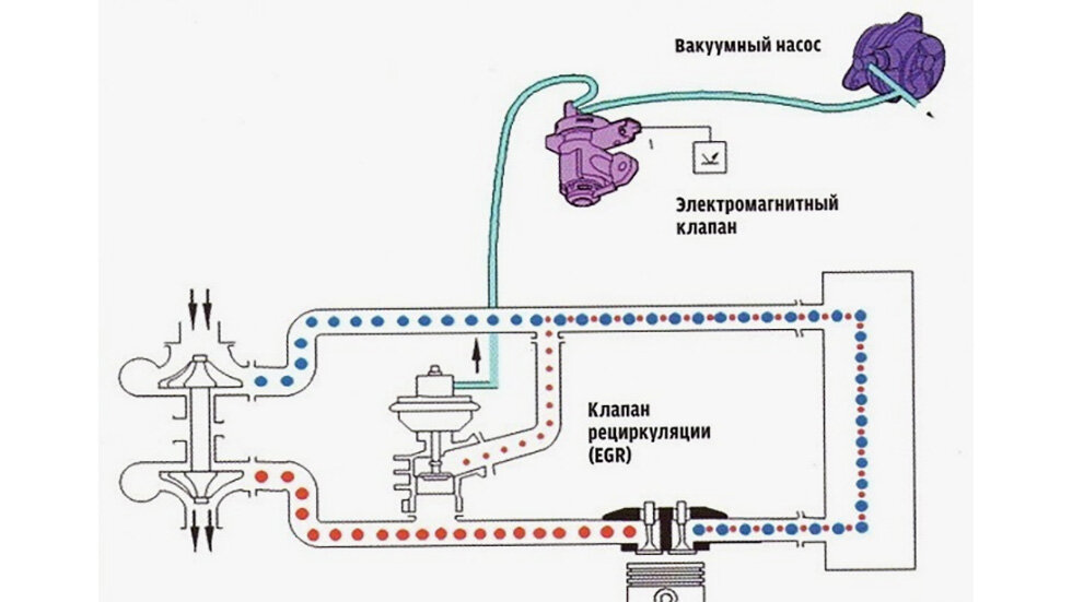    Schacal / drive2.ru