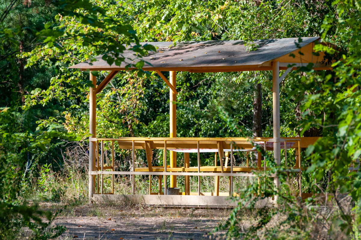 фото Svetlana Vozmilova/Global Look Press 