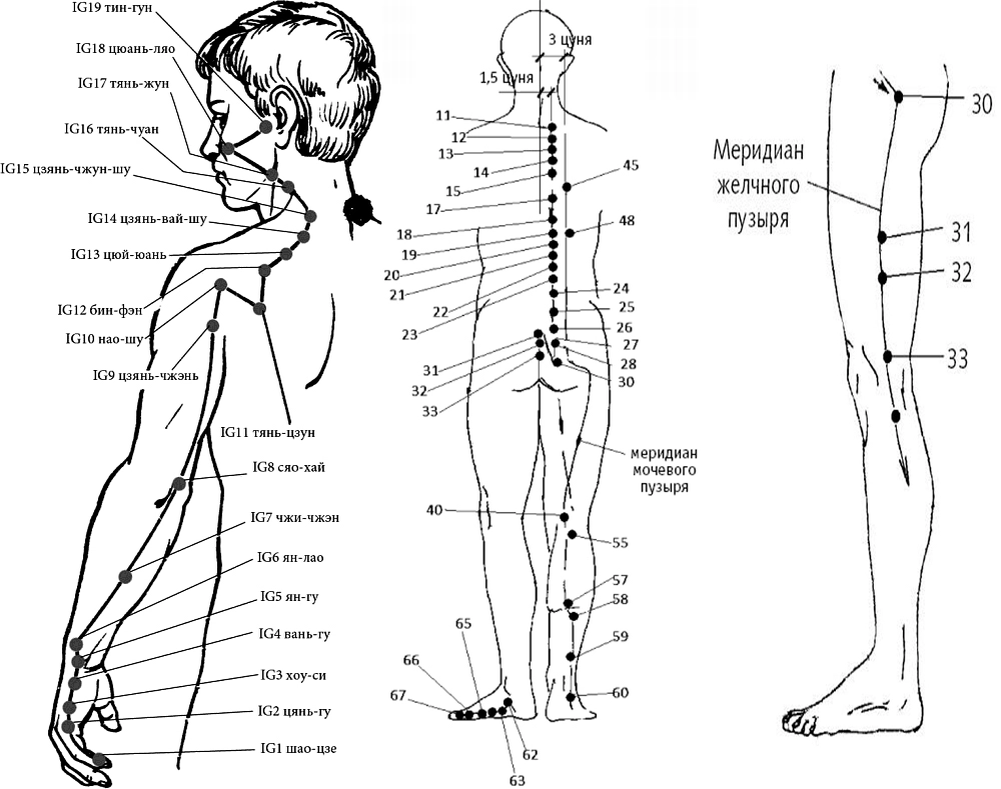 Меридианы человека схема и направления китайская