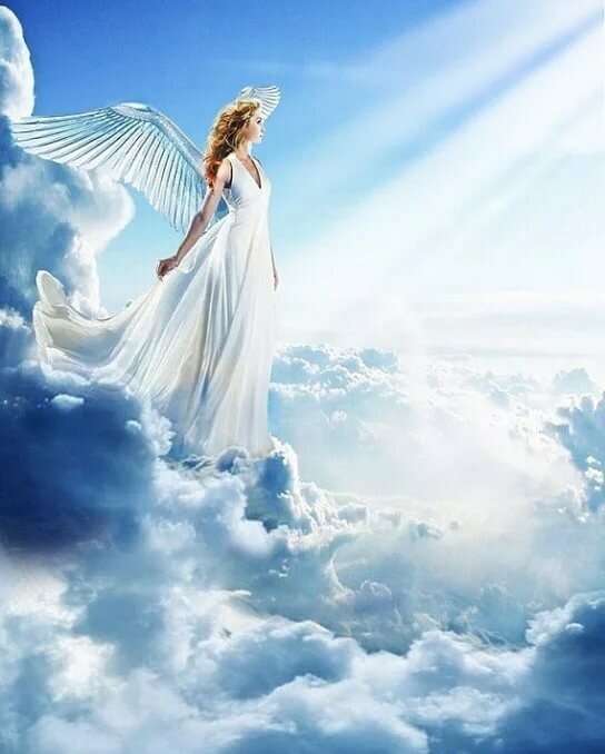 Изображение взято из интернета, в свободном доступе