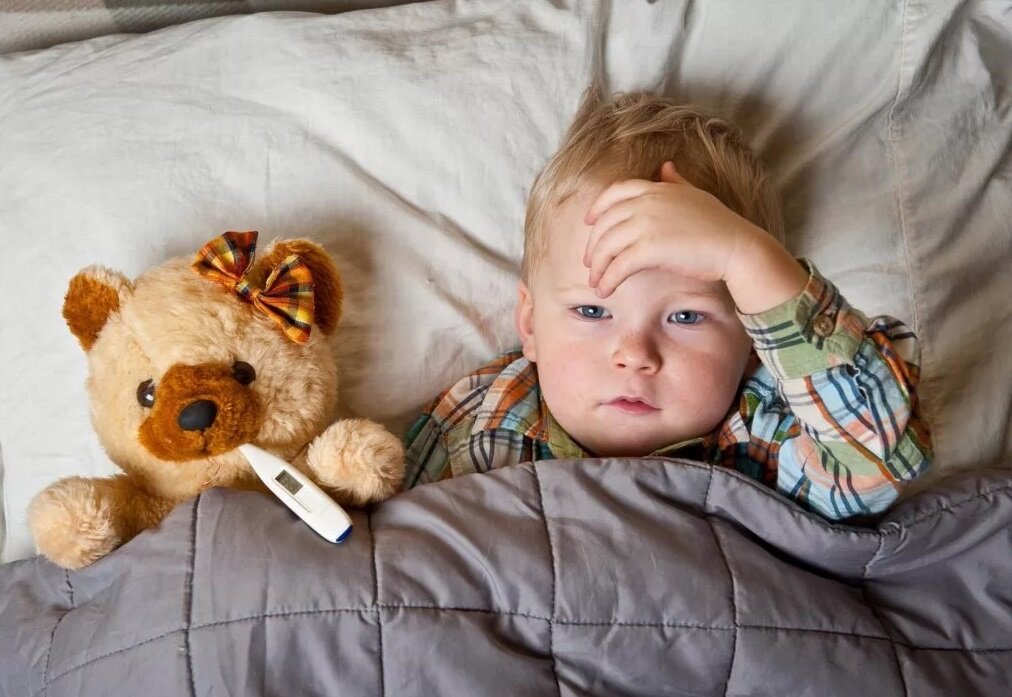 Фото из открытых источников в интернете