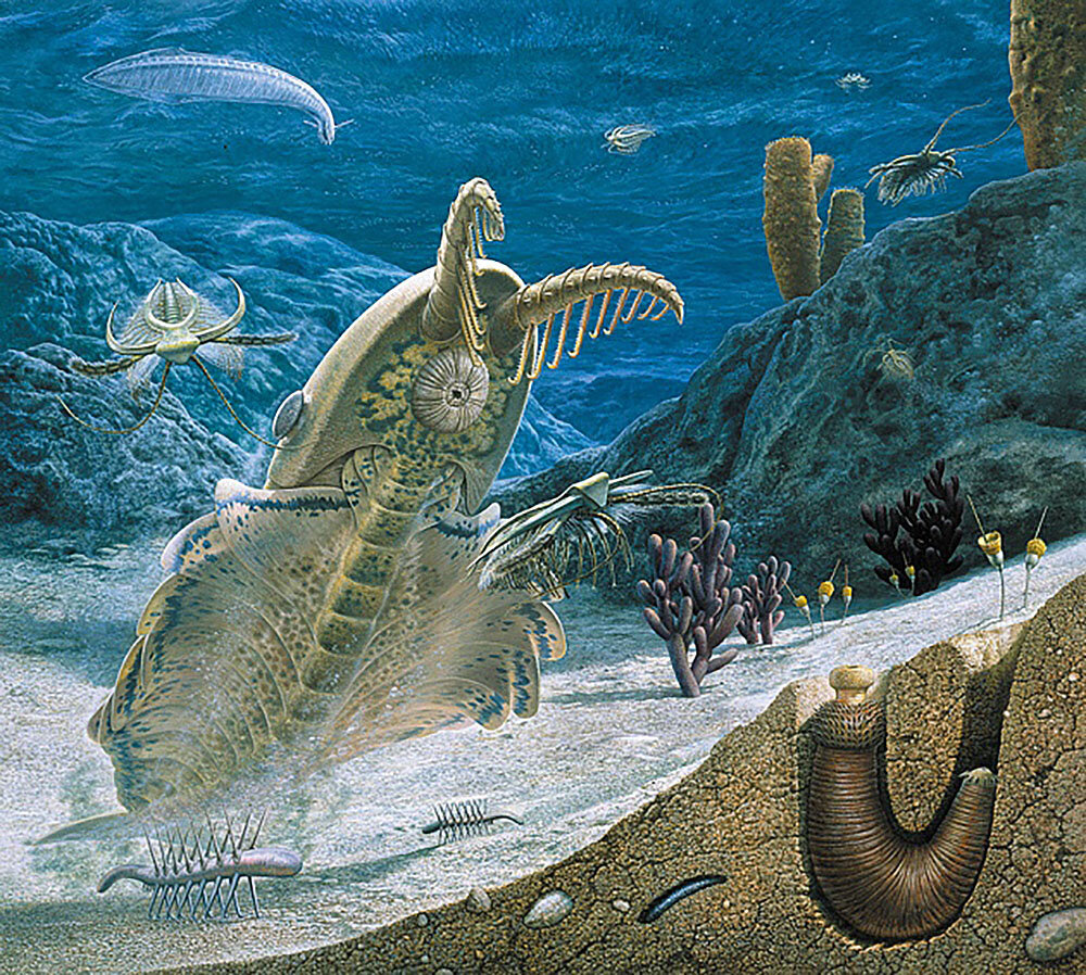 Первые живые существа появились на нашей планете. Палеозой Эра Кембрий. Палеозойская Эра ордовикский период. Кембрийский период палеозойской эры. Кембрийский период палеозойской эры животные.
