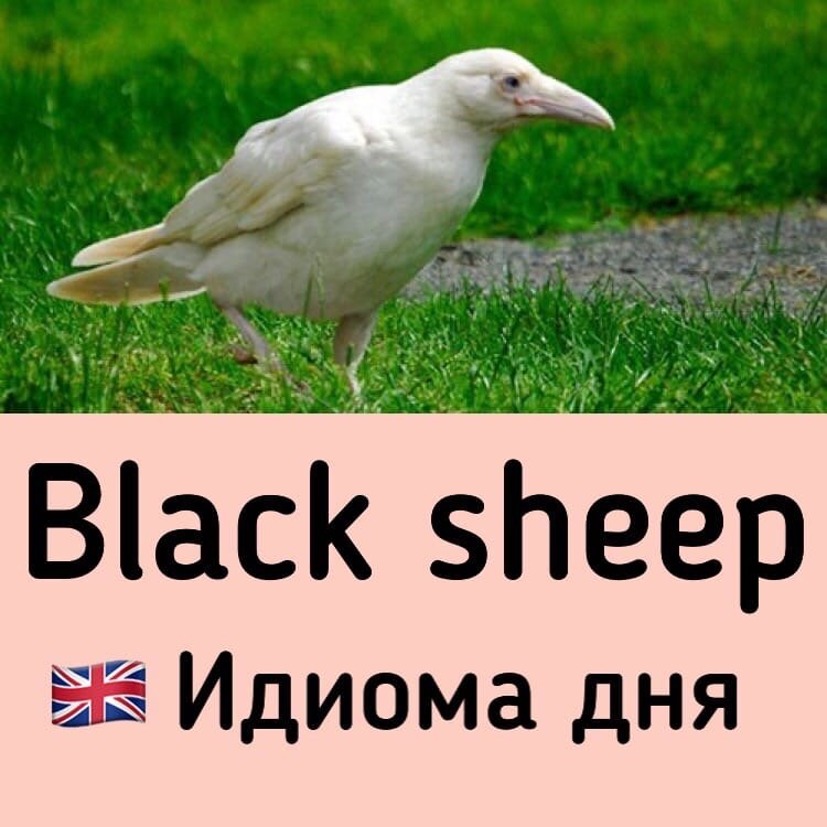 Уникальная картинка автора